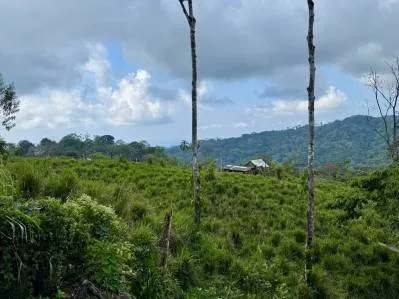 Stunning Residential Lots in Uvita - Panoramic Ocean & Mountain Views, photo 7
