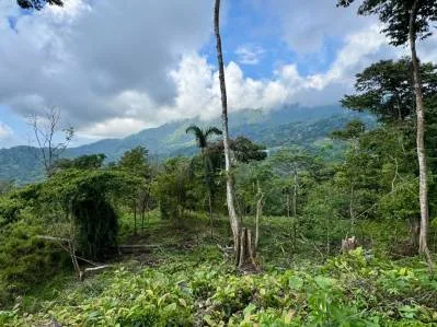 Stunning Residential Lots in Uvita - Panoramic Ocean & Mountain Views, photo 8