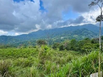 Stunning Residential Lots in Uvita - Panoramic Ocean & Mountain Views, photo 10