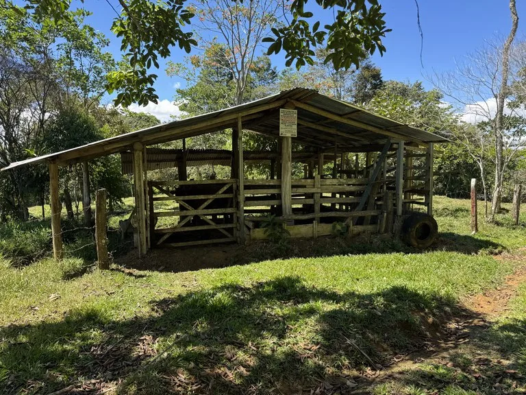 12.5 Acre Riverfront Mountain Estate with Valley and Chirripó Views, photo 4