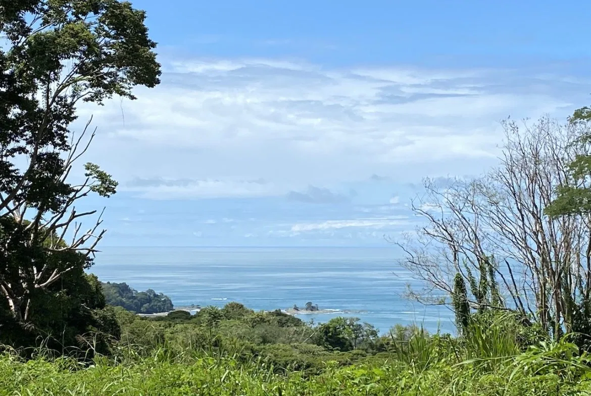 OCEAN VIEW LOT IN DOMINICALITO – 1.24 ACRES, photo 2