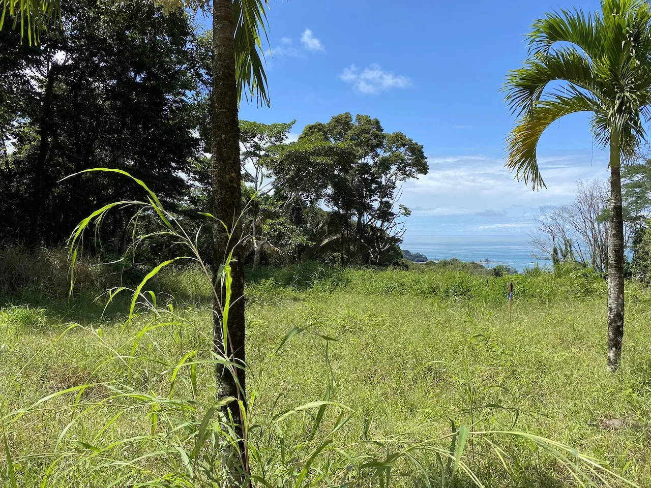 OCEAN VIEW LOT IN DOMINICALITO – 1.24 ACRES, photo 11