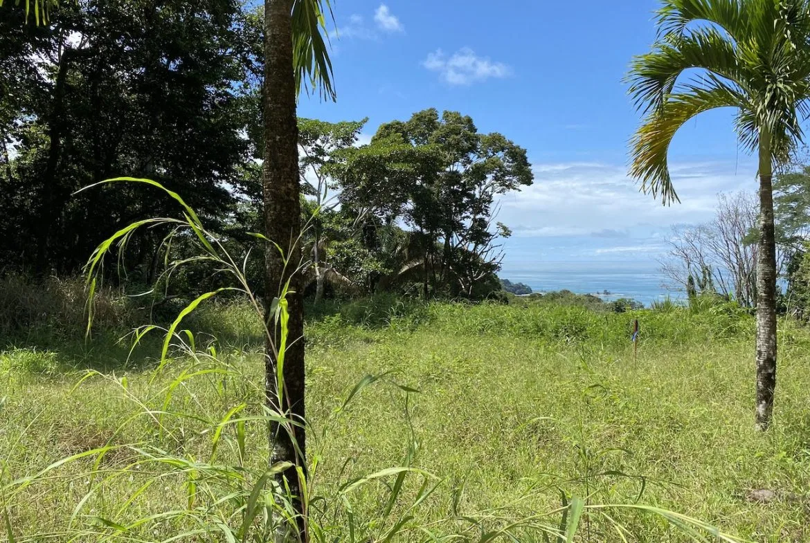 OCEAN VIEW LOT IN DOMINICALITO – 1.24 ACRES, photo 12