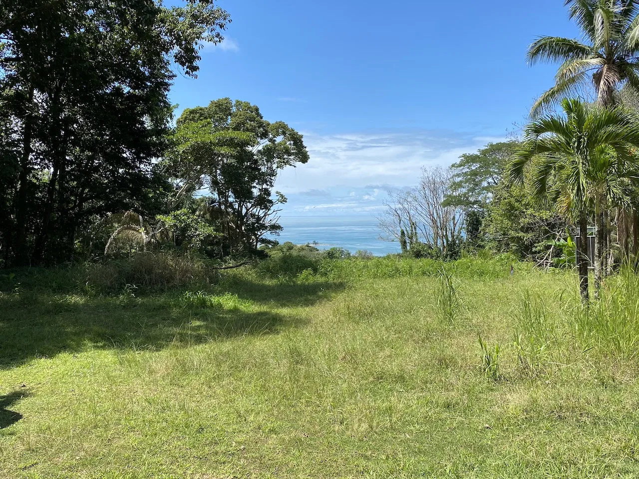 OCEAN VIEW LOT IN DOMINICALITO – 1.24 ACRES, photo 13