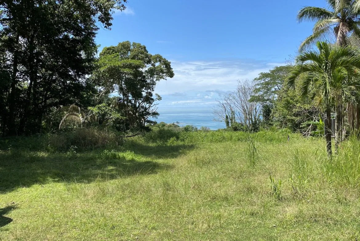 OCEAN VIEW LOT IN DOMINICALITO – 1.24 ACRES, photo 14