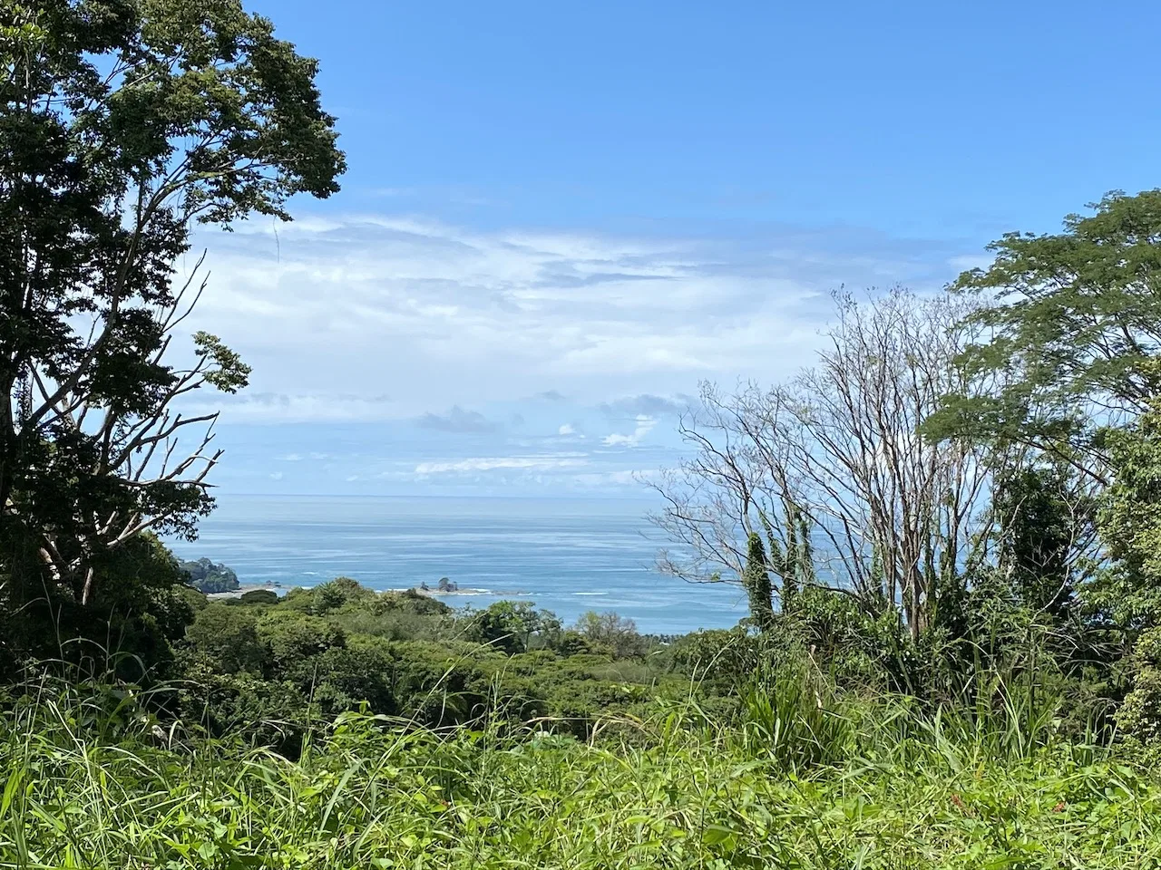 OCEAN VIEW LOT IN DOMINICALITO – 1.24 ACRES, photo 3