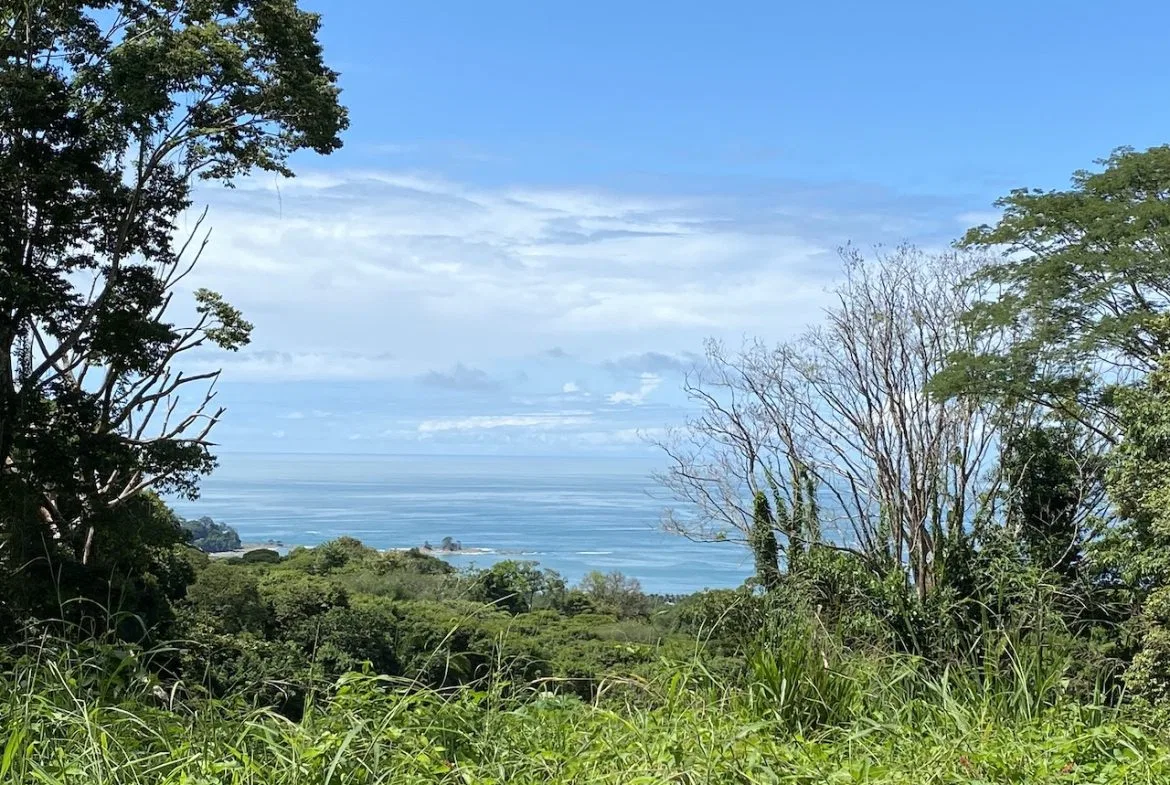 OCEAN VIEW LOT IN DOMINICALITO – 1.24 ACRES, photo 4