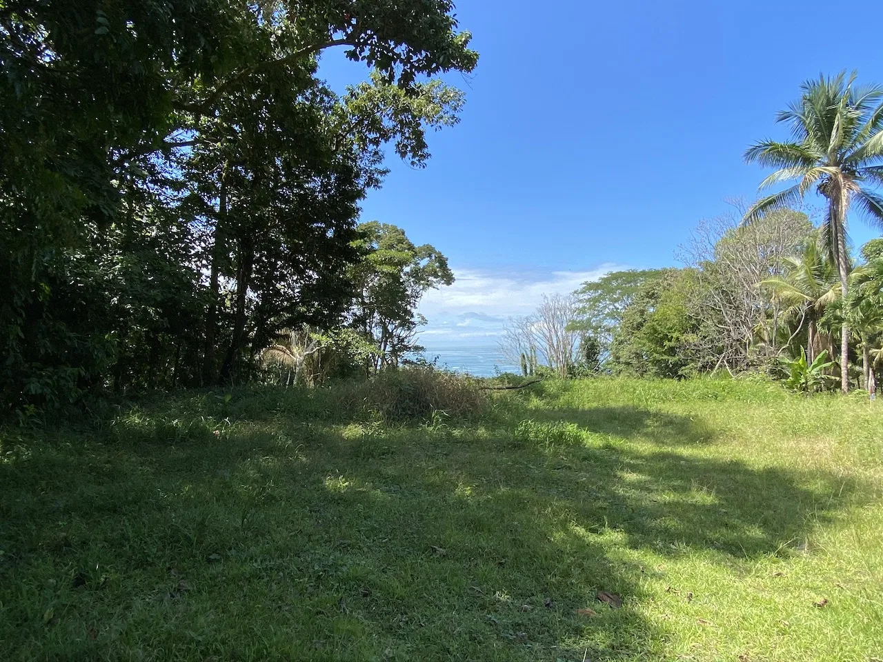 OCEAN VIEW LOT IN DOMINICALITO – 1.24 ACRES, photo 5