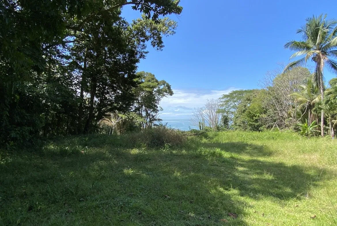 OCEAN VIEW LOT IN DOMINICALITO – 1.24 ACRES, photo 6