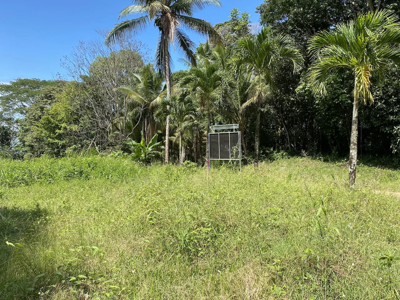 OCEAN VIEW LOT IN DOMINICALITO – 1.24 ACRES, photo 7