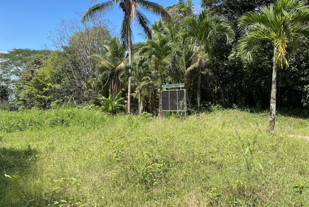 OCEAN VIEW LOT IN DOMINICALITO – 1.24 ACRES, photo 8