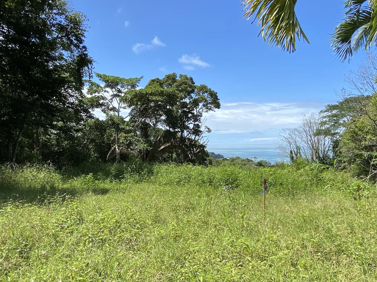 OCEAN VIEW LOT IN DOMINICALITO – 1.24 ACRES, photo 9