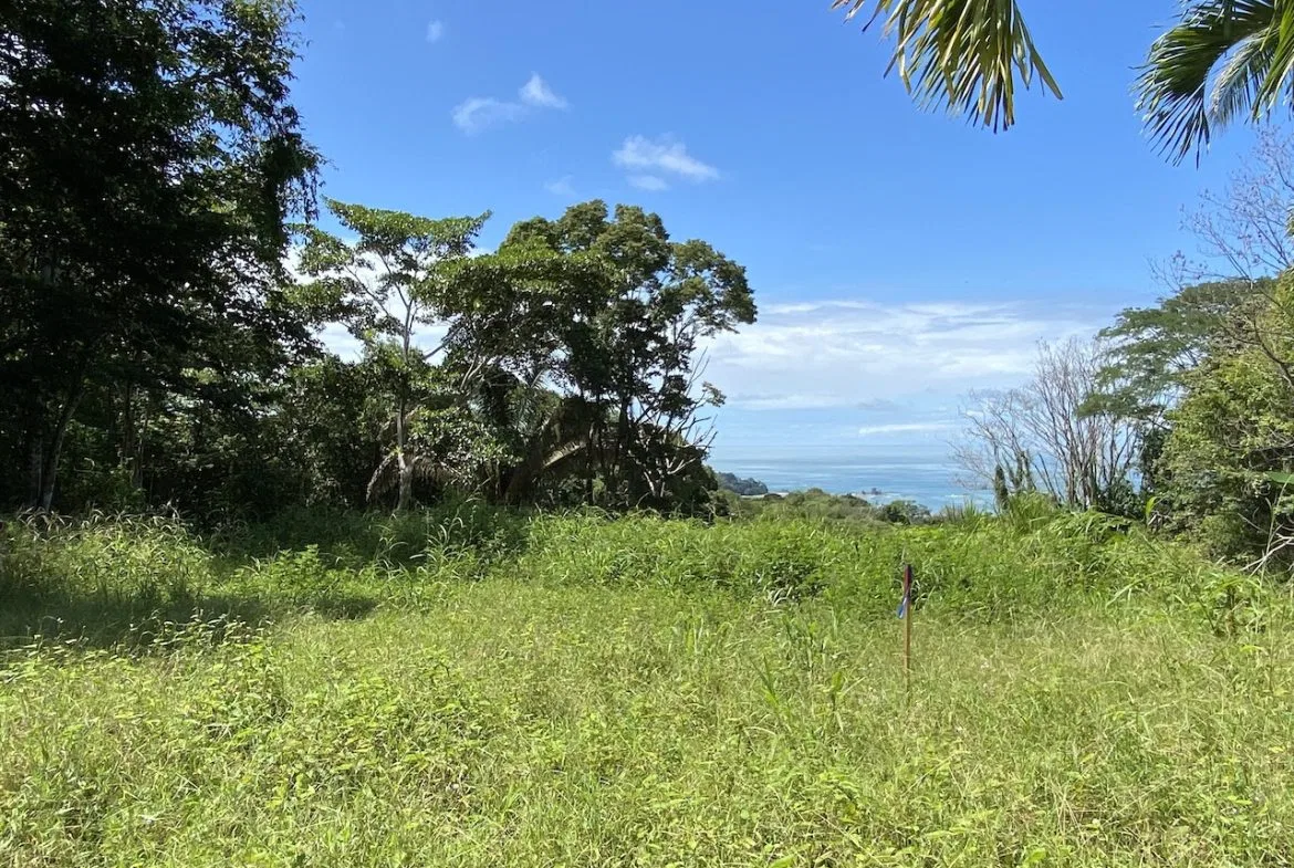 OCEAN VIEW LOT IN DOMINICALITO – 1.24 ACRES, photo 10