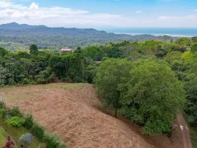 3-Acre Development Opportunity in Phase 5 Gated Community, Ojochal, photo 5