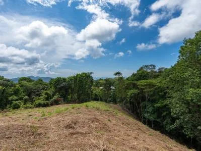 3-Acre Development Opportunity in Phase 5 Gated Community, Ojochal, photo 7