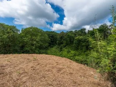 3-Acre Development Opportunity in Phase 5 Gated Community, Ojochal, photo 9