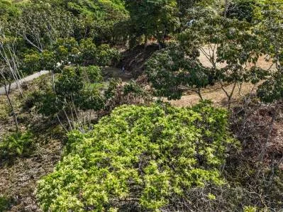 An elevated 1.2 acre lot with two campuses, panoramic mountain and jungle views., photo 7