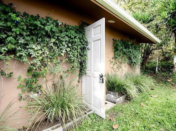 House in Río Piedras, photo 5