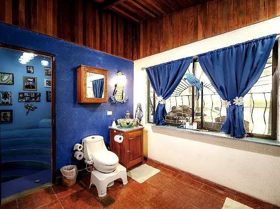 House in Río Piedras, photo 9