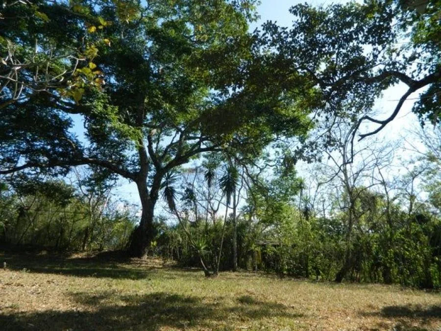 Venta de Lote en Ciudad Colón, Mora. - Venta en Mora