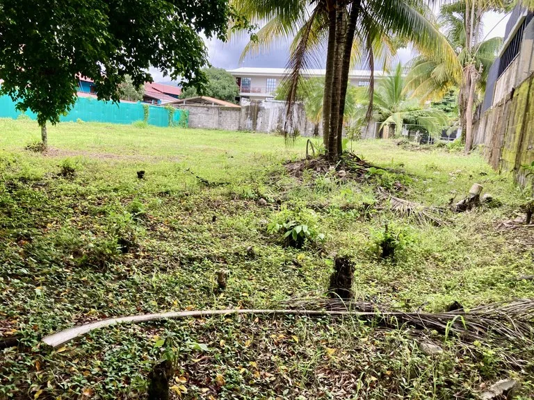Beautiful Lot a few meters from the beach Property for Sale: 1,103 m² Lot in Playa Jaco, Costa Rica, photo 2