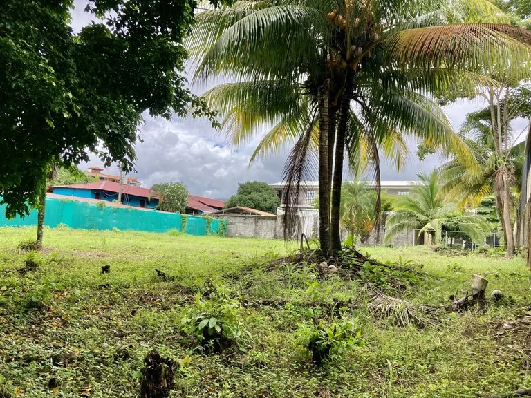Beautiful Lot a few meters from the beach Property for Sale: 1,103 m² Lot in Playa Jaco, Costa Rica, photo 3