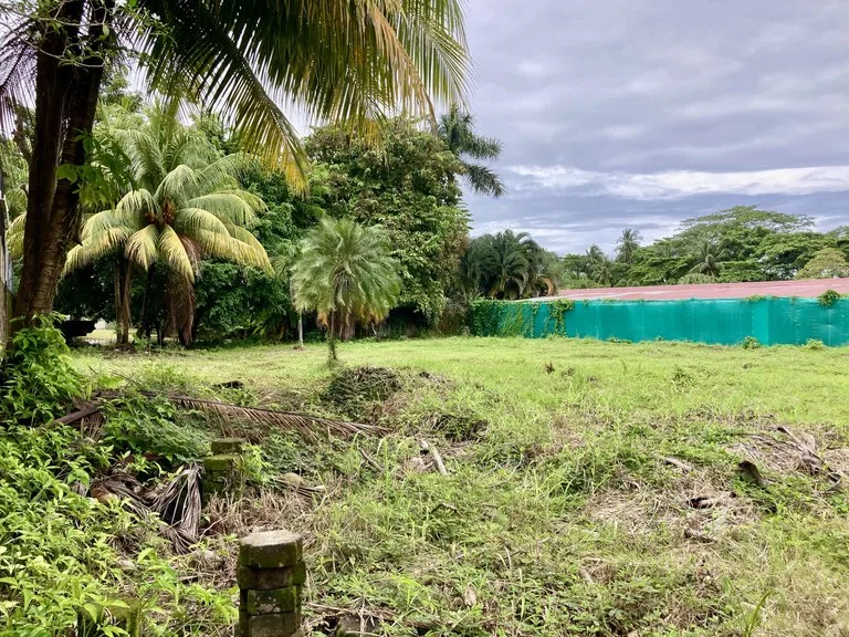 Beautiful Lot a few meters from the beach Property for Sale: 1,103 m² Lot in Playa Jaco, Costa Rica, photo 6