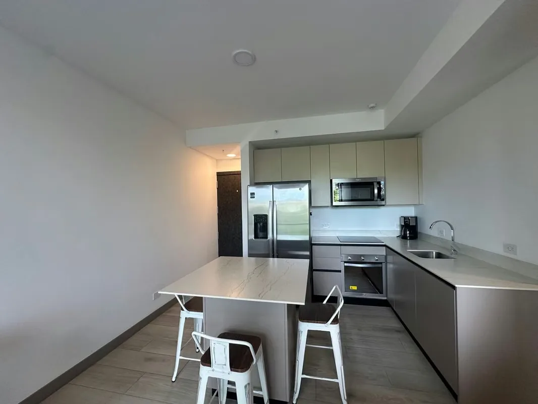 FURNISHED APARTMENT FOR SALE FPR INVESTMENT IN NUCLEO SABANA, photo 3