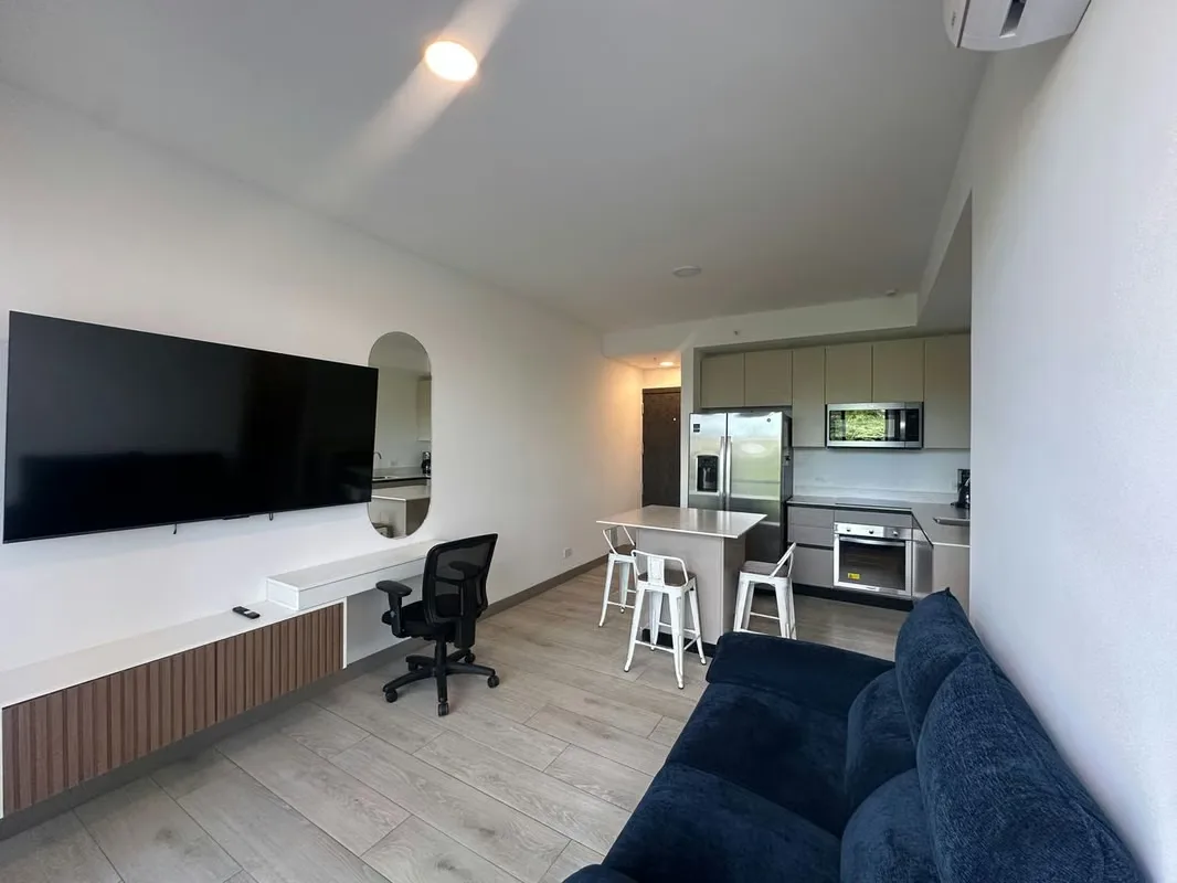FURNISHED APARTMENT FOR SALE FPR INVESTMENT IN NUCLEO SABANA, photo 6