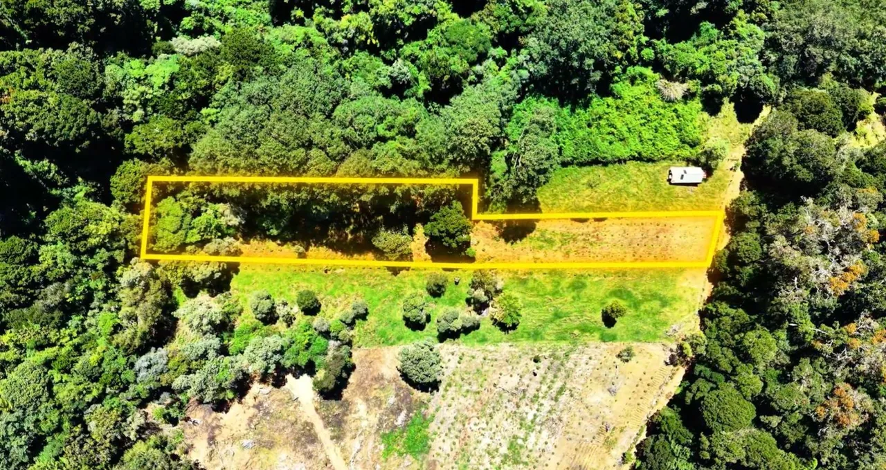 Flat 4,830 m² Lot for Sale in Alto Jaular | A Peaceful Nature Retreat with Excellent Airbnb Potential