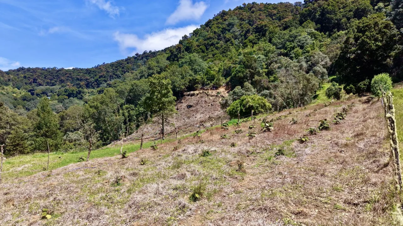 Flat 4,830 m² Lot for Sale in Alto Jaular | A Peaceful Nature Retreat with Excellent Airbnb Potential, photo 2