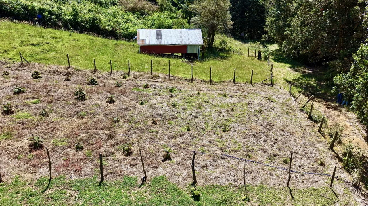 Flat 4,830 m² Lot for Sale in Alto Jaular | A Peaceful Nature Retreat with Excellent Airbnb Potential, photo 3