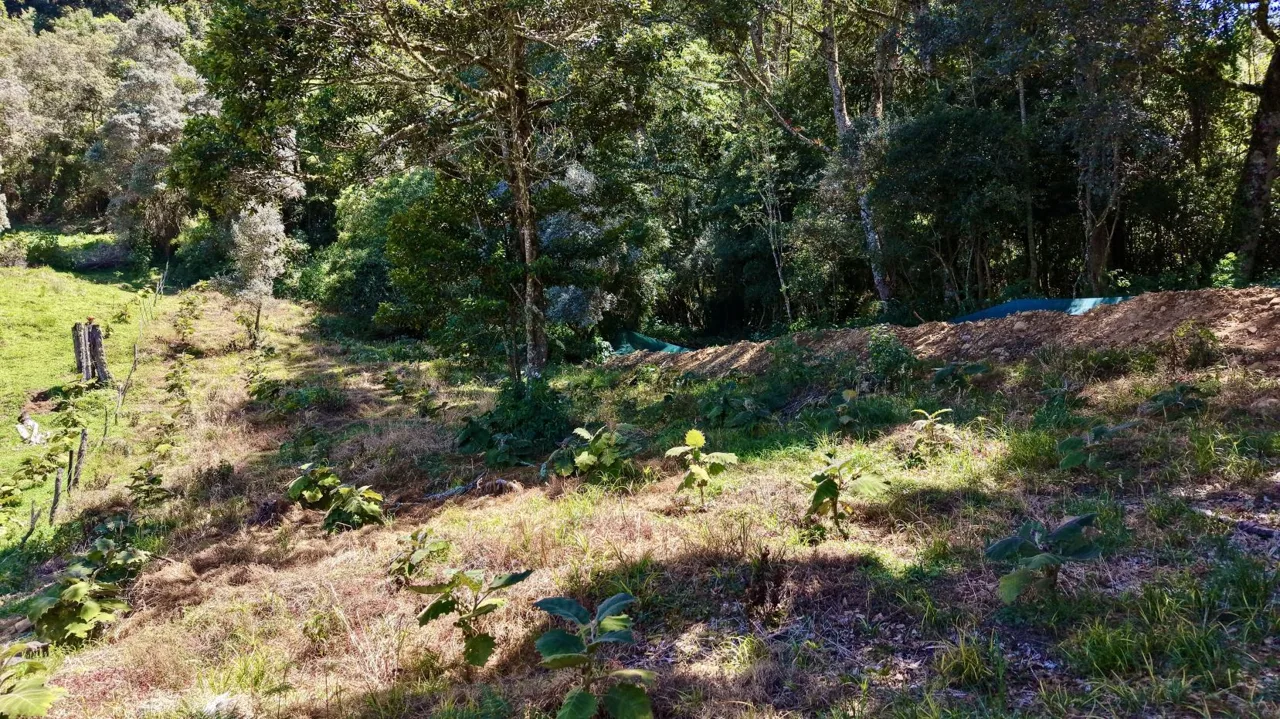 Flat 4,830 m² Lot for Sale in Alto Jaular | A Peaceful Nature Retreat with Excellent Airbnb Potential, photo 4