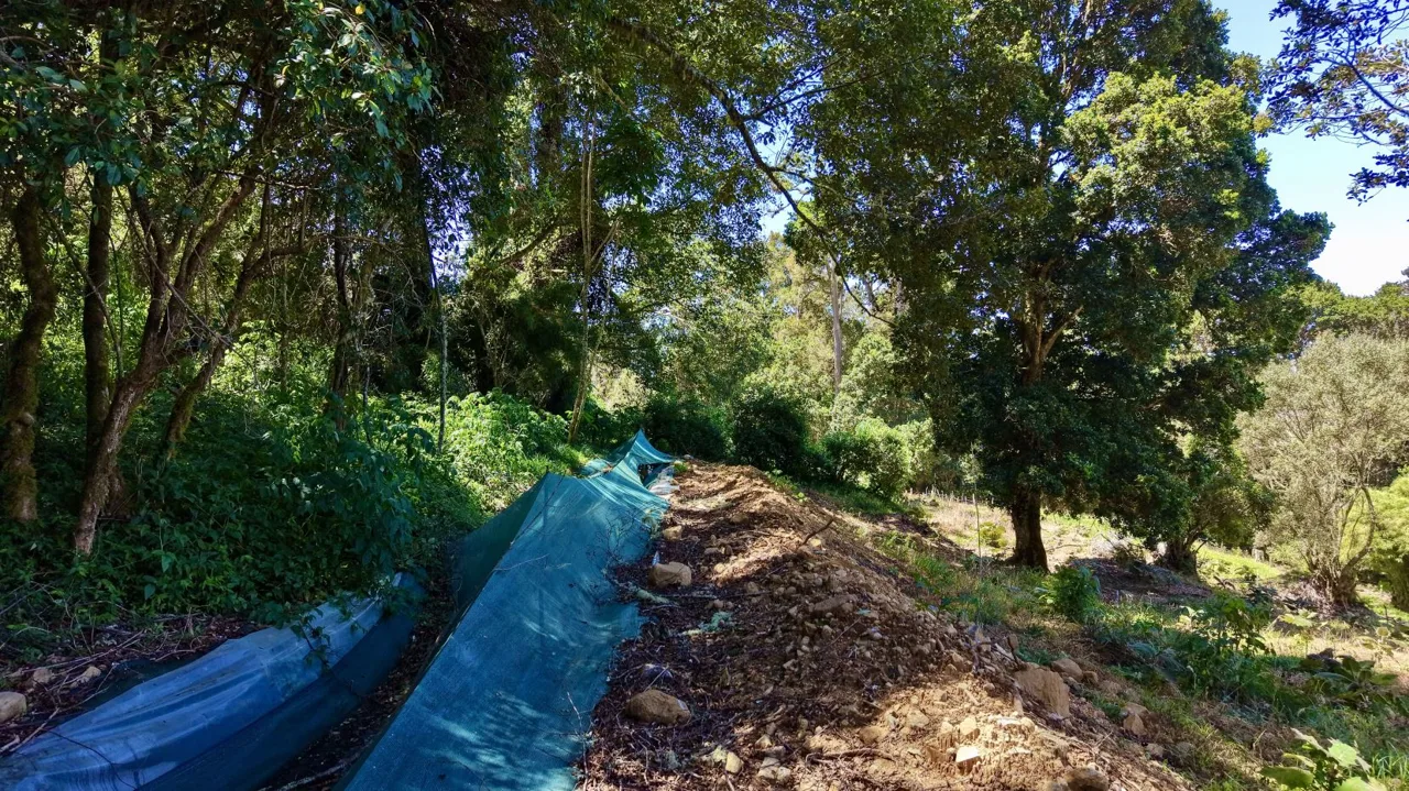 Flat 4,830 m² Lot for Sale in Alto Jaular | A Peaceful Nature Retreat with Excellent Airbnb Potential, photo 7
