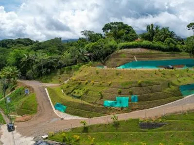 BUILDING PROPERTY AT THE ENTRANCE TO OJOCHAL – 2.03 ACRES, photo 27