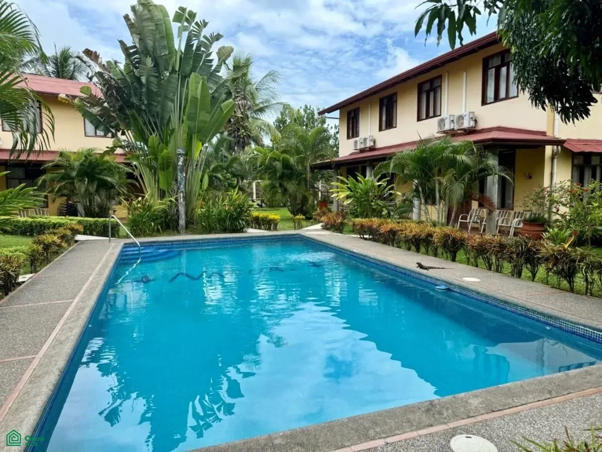 Nasua,, Puntarenas 61101