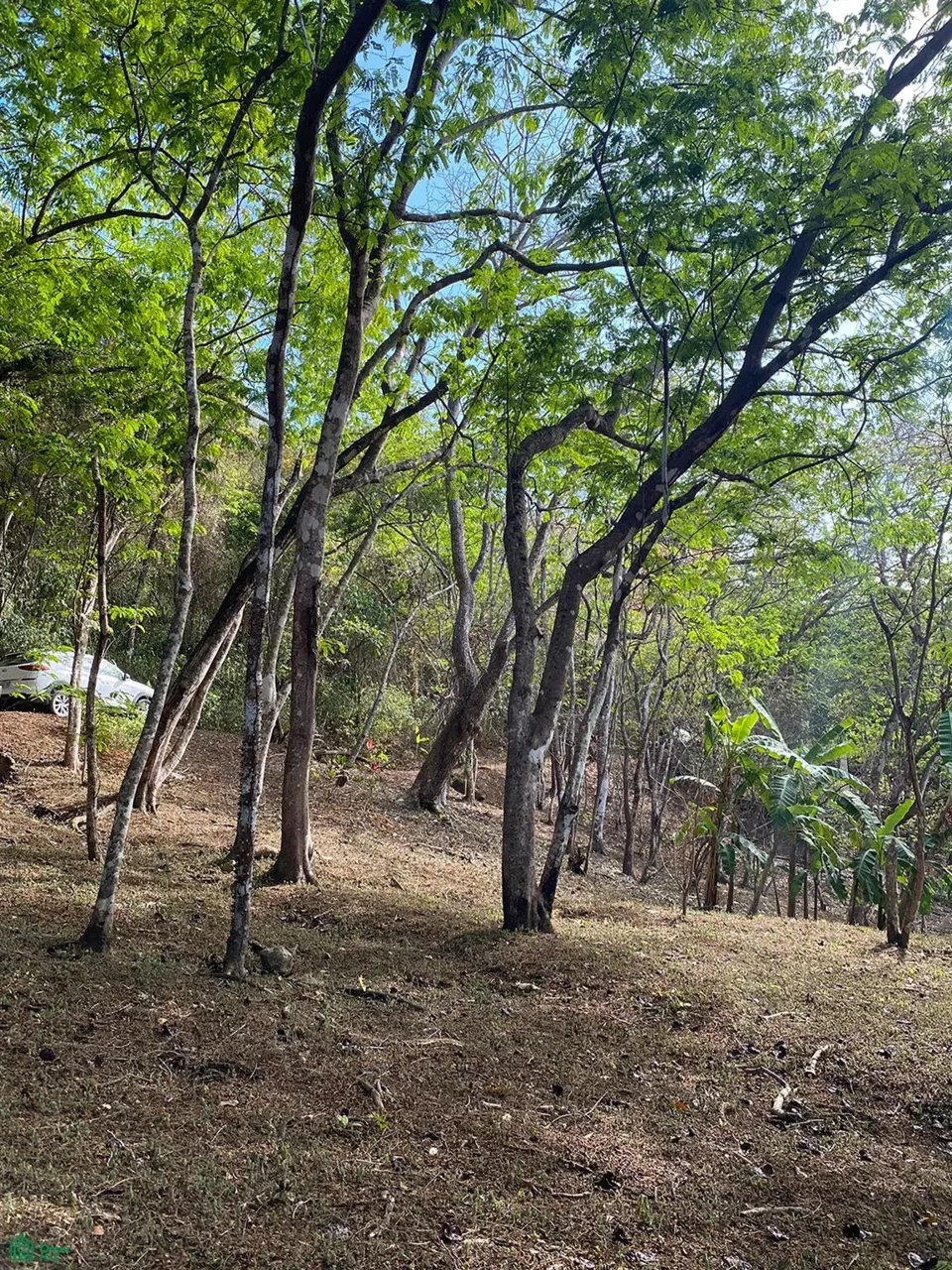Montezuma, Puntarenas, Puntarenas 60111