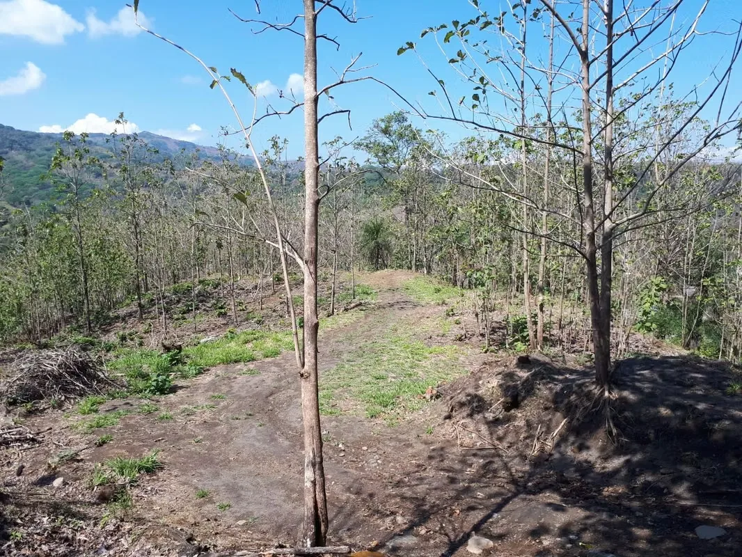 Es una finca muy privada, con una vista espectacular del Rio Grande de Tarcoles y la montanas.