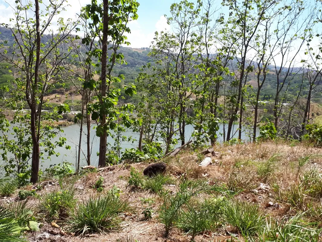 Es una finca muy privada, con una vista espectacular del Rio Grande de Tarcoles y la montanas., photo 3