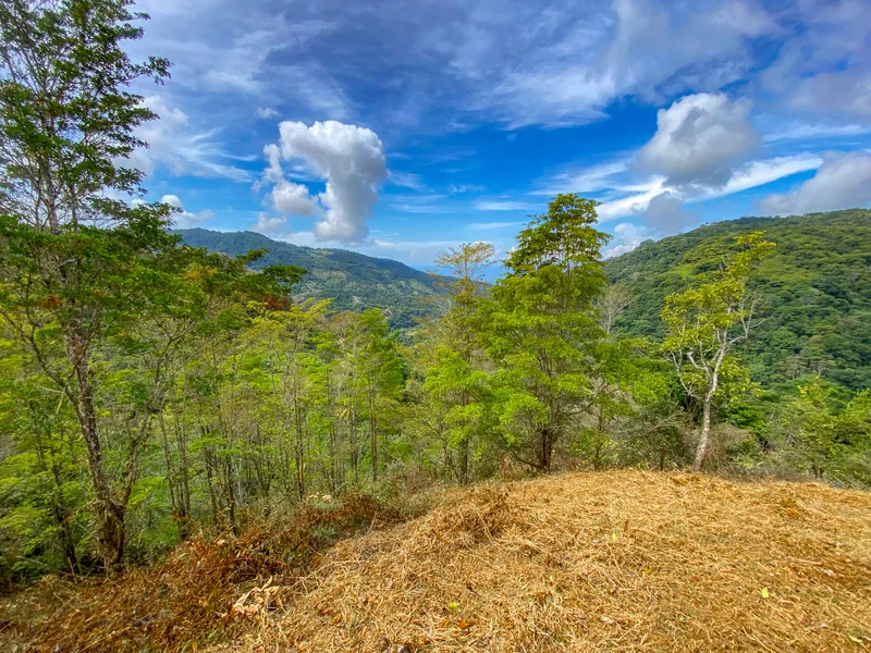 Land For Sale in Uvita, photo 11