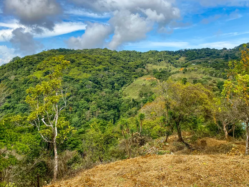 Land For Sale in Uvita, photo 12