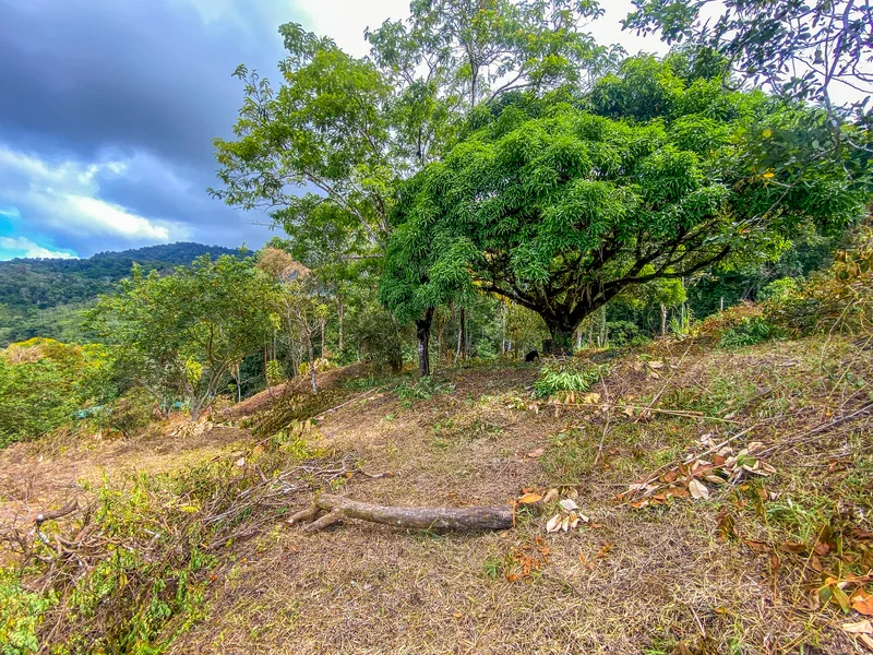 Land For Sale in Uvita, photo 14