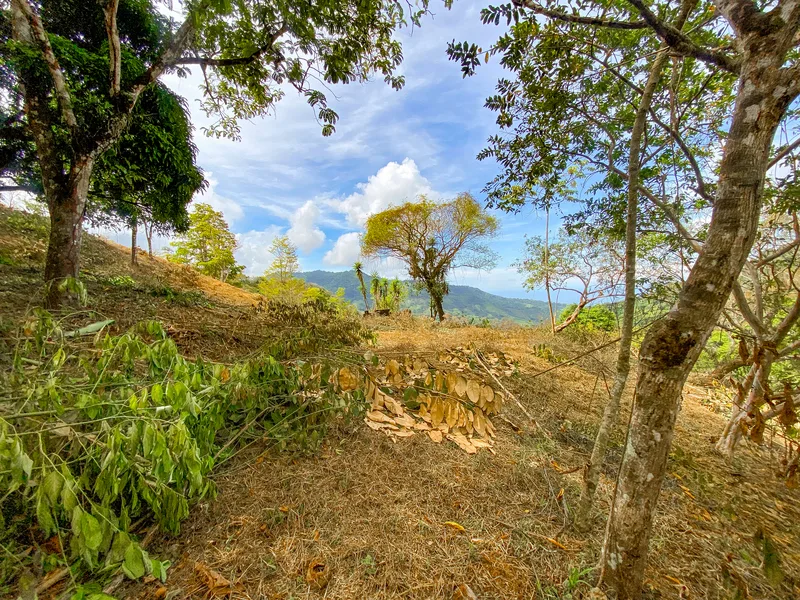 Land For Sale in Uvita, photo 15