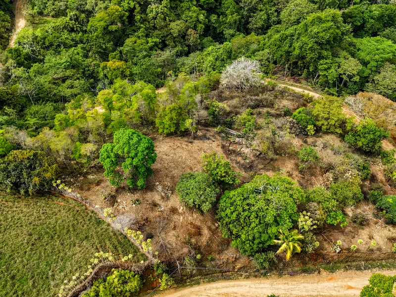 Land For Sale in Uvita, photo 3