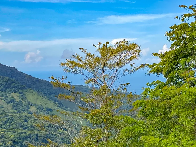 Land For Sale in Uvita, photo 5