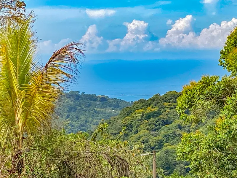 Land For Sale in Uvita, photo 6