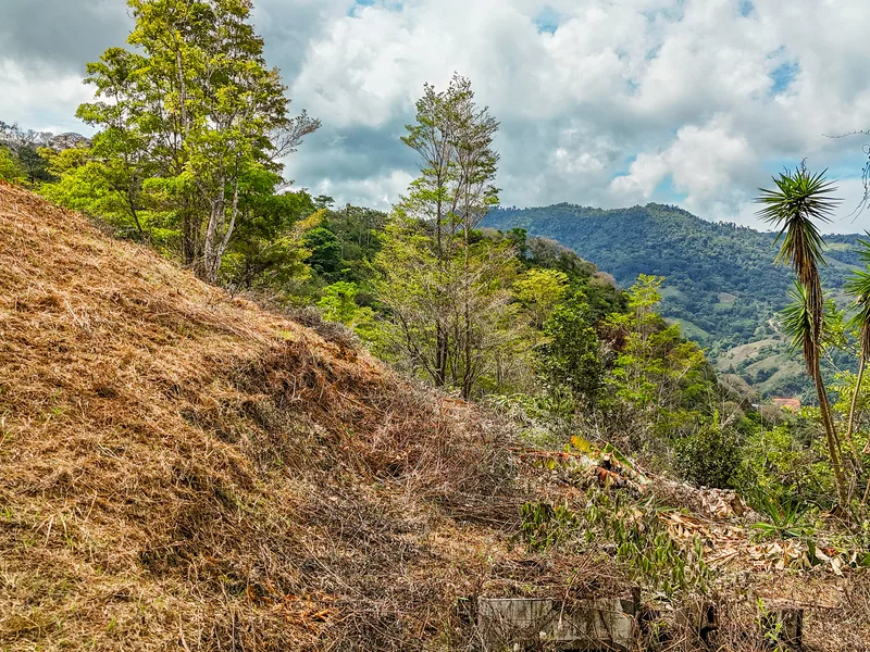 Land For Sale in Uvita, photo 8