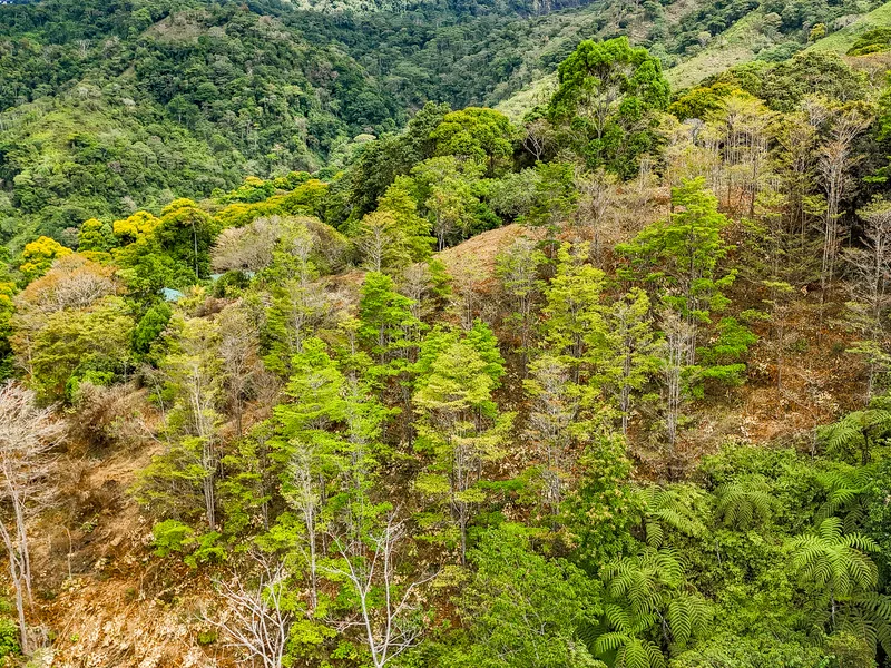 Land For Sale in Uvita, photo 9