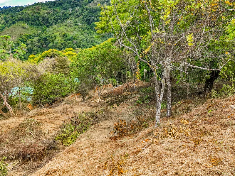 Land For Sale in Uvita, photo 10