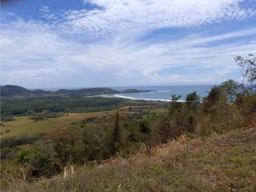 Costa de Oro, planteles Playa Coyote, Guanacaste AJ